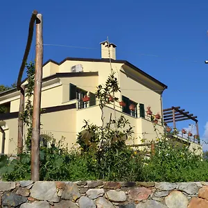 3* Oda ve Kahvaltı Joie De Vivre